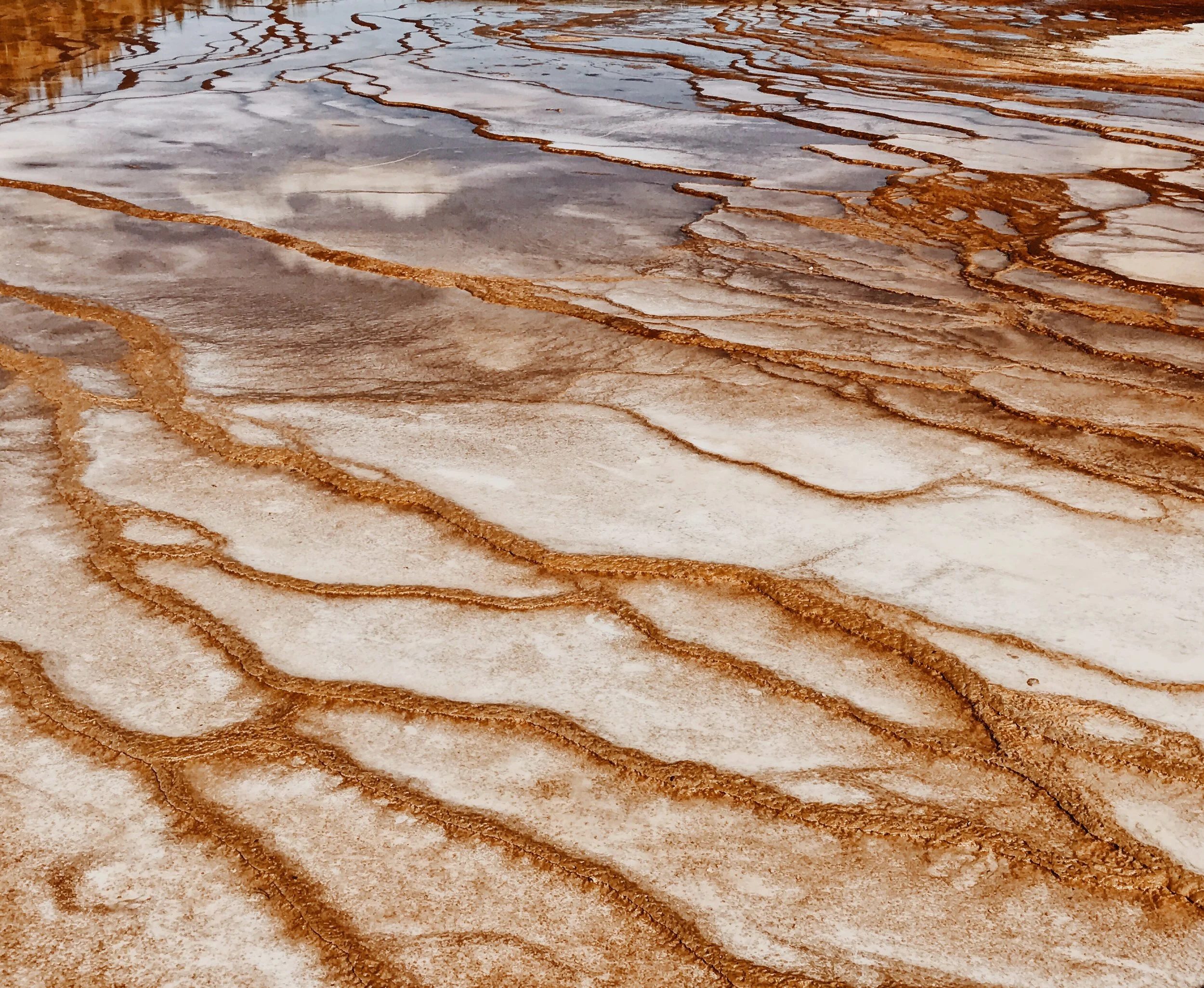 Next up was Yellowstone National Park. The colors here blew my mind! Expect to see some of it showing up in my work!!