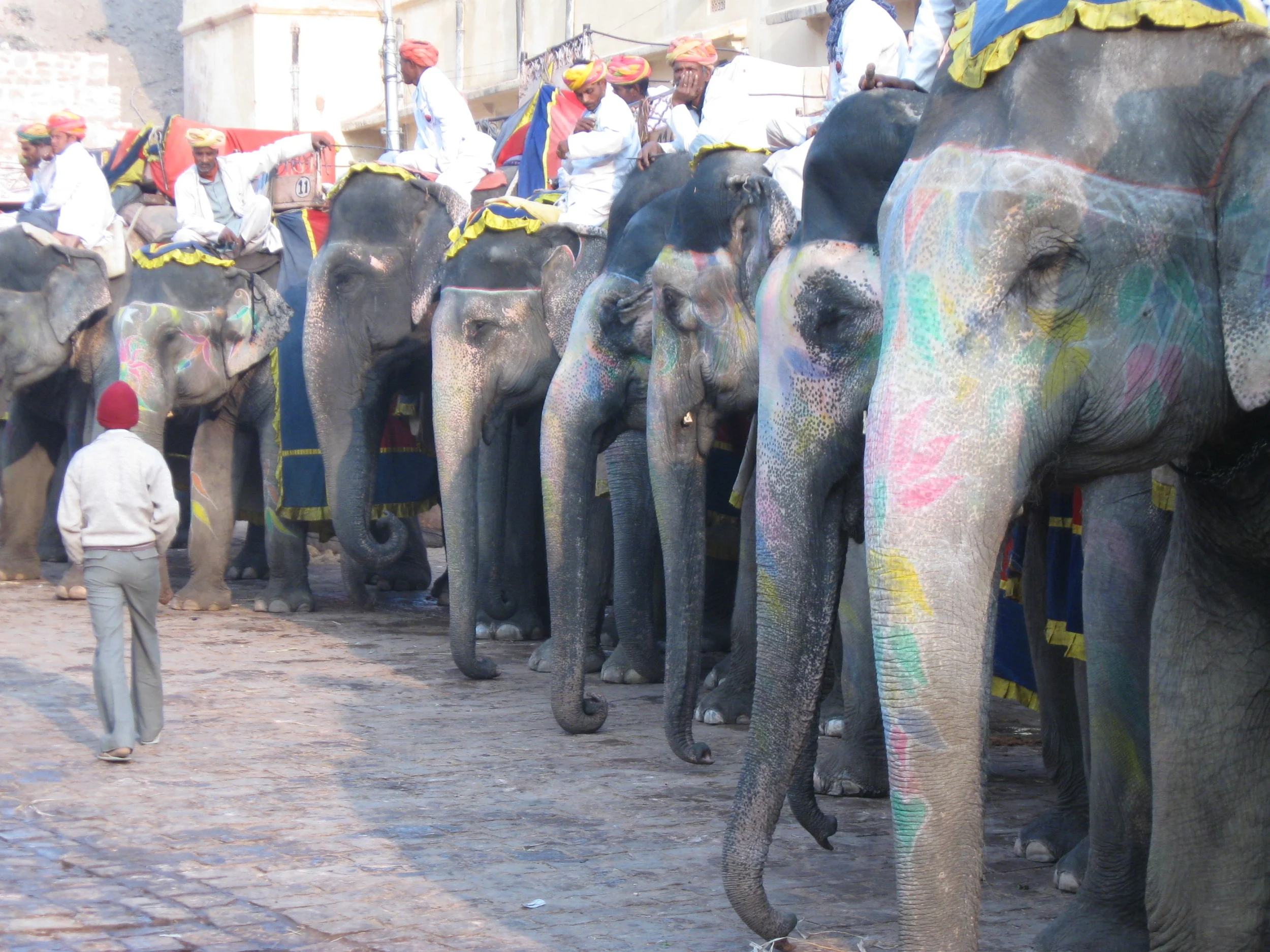 elephants.JPG