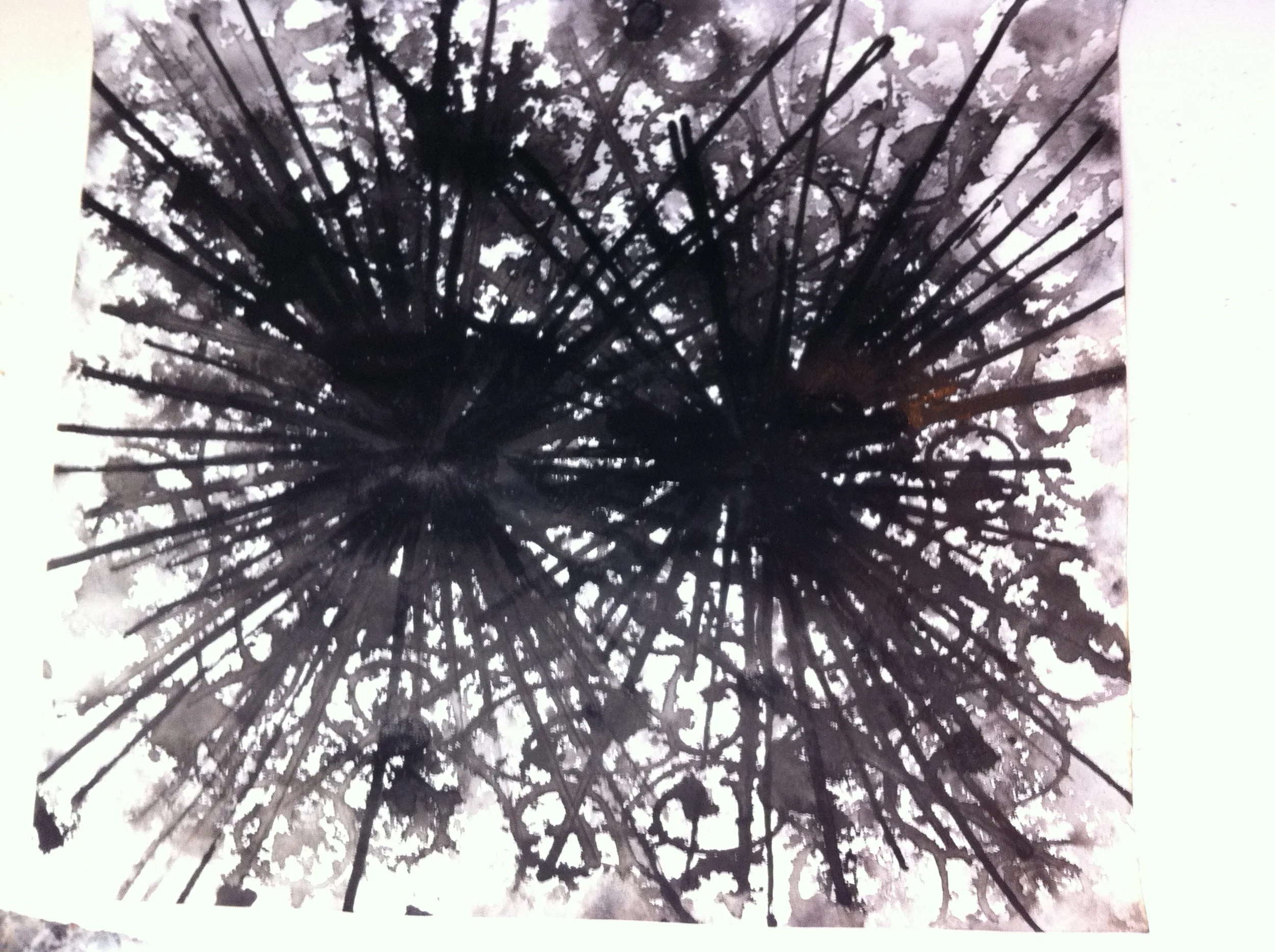 sumi ink, 2013