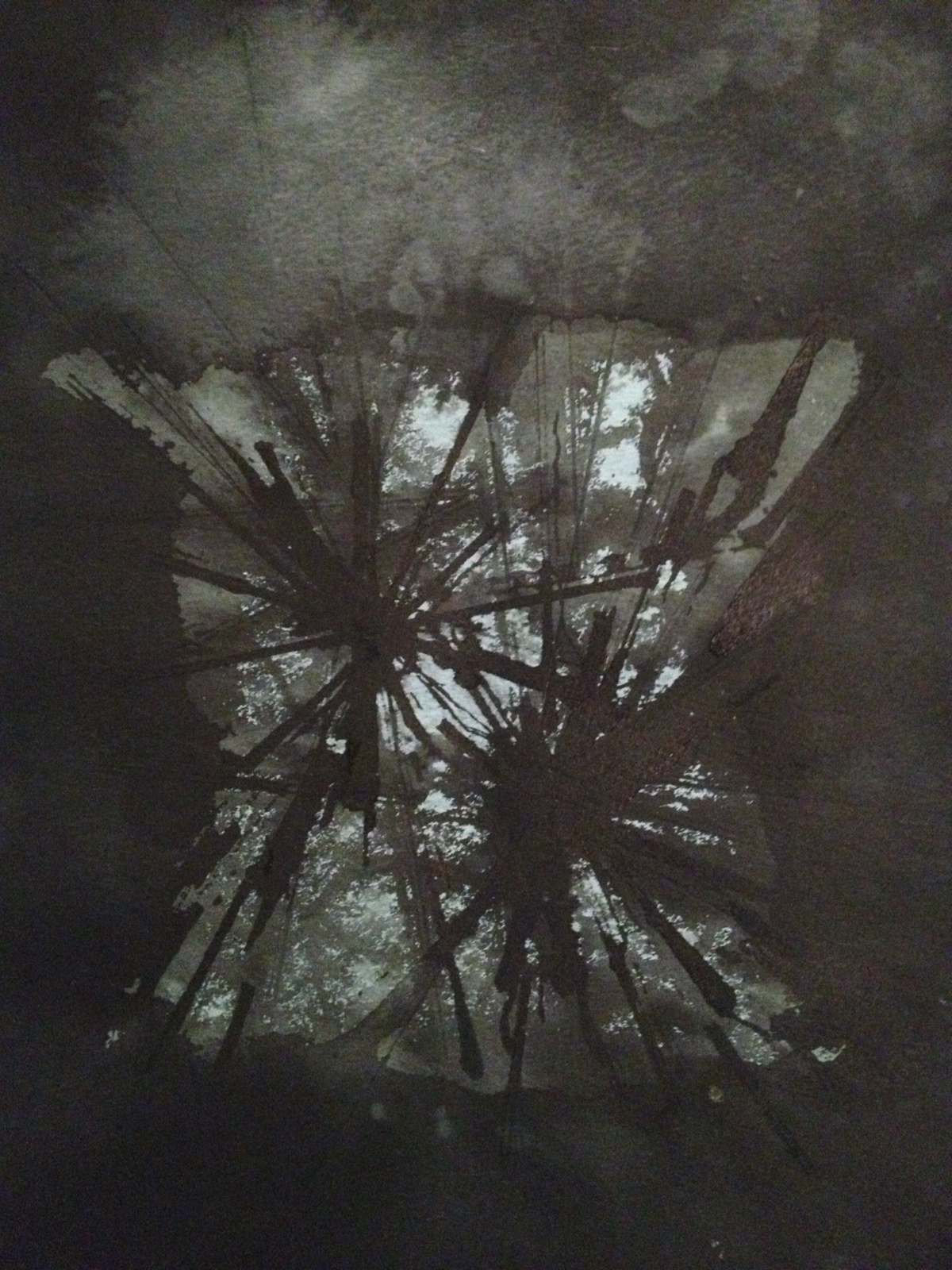 XX, sumi ink