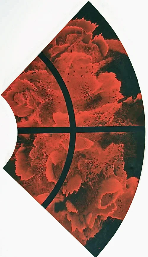 Black Balloon/Red Reflection