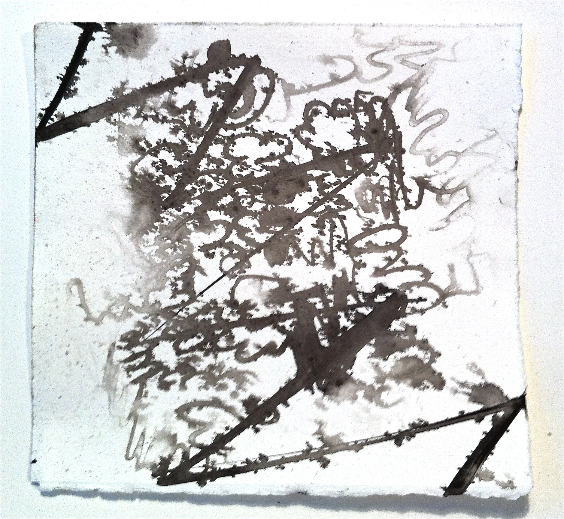 sumi ink, 2013