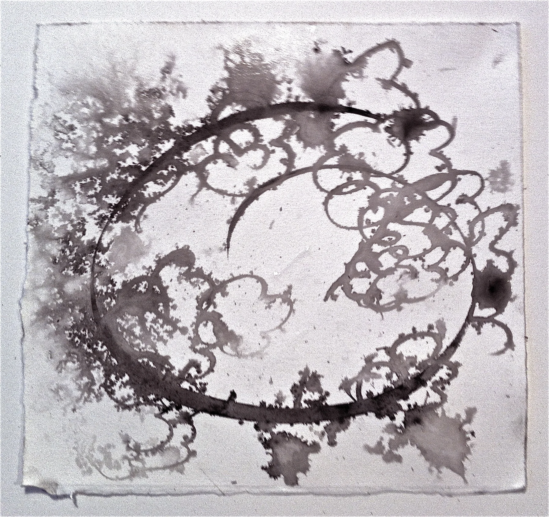 sumi ink, 2013