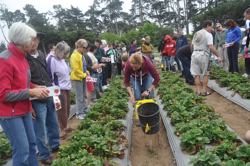 Farmworker Reality Tour