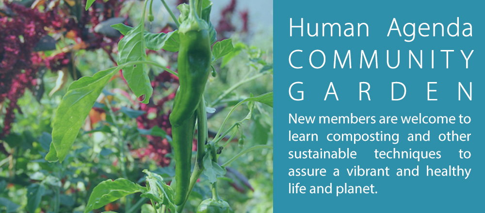 HA-Community-Garden1.jpg
