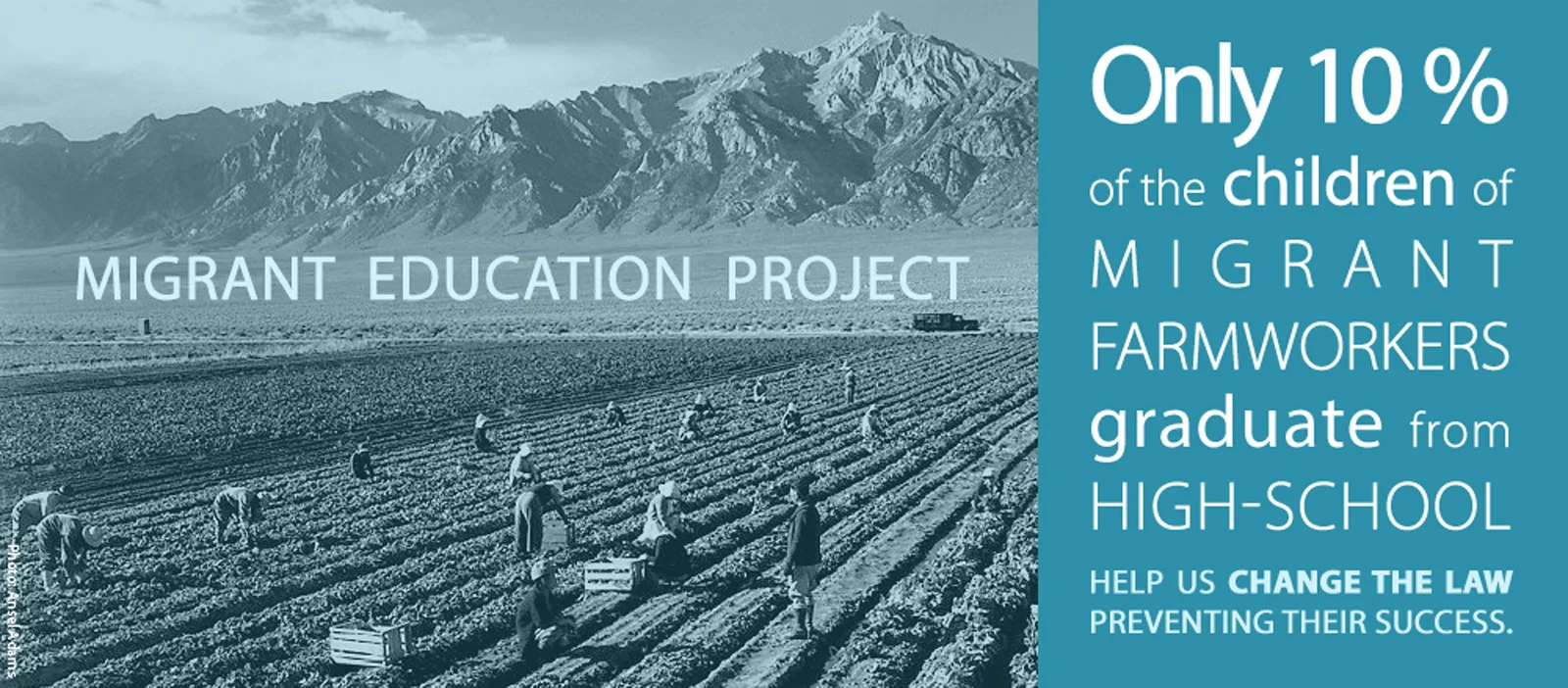Migrant-Project-Banner.jpg