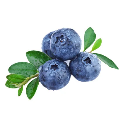 Wild Blueberry Balsamic