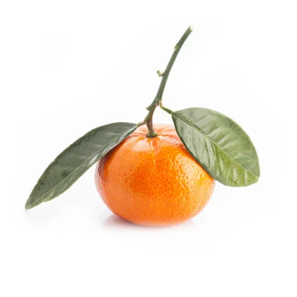 Tangerine Balsamic Vinegar