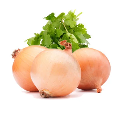 Cilantro and Roasted Onion Olive Oil