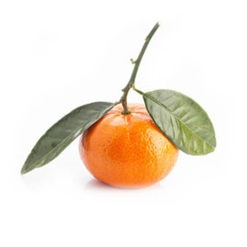 Boone+Olive+Oil+Co-Tangerine-Dark-Balsamic-Vinegar.jpg