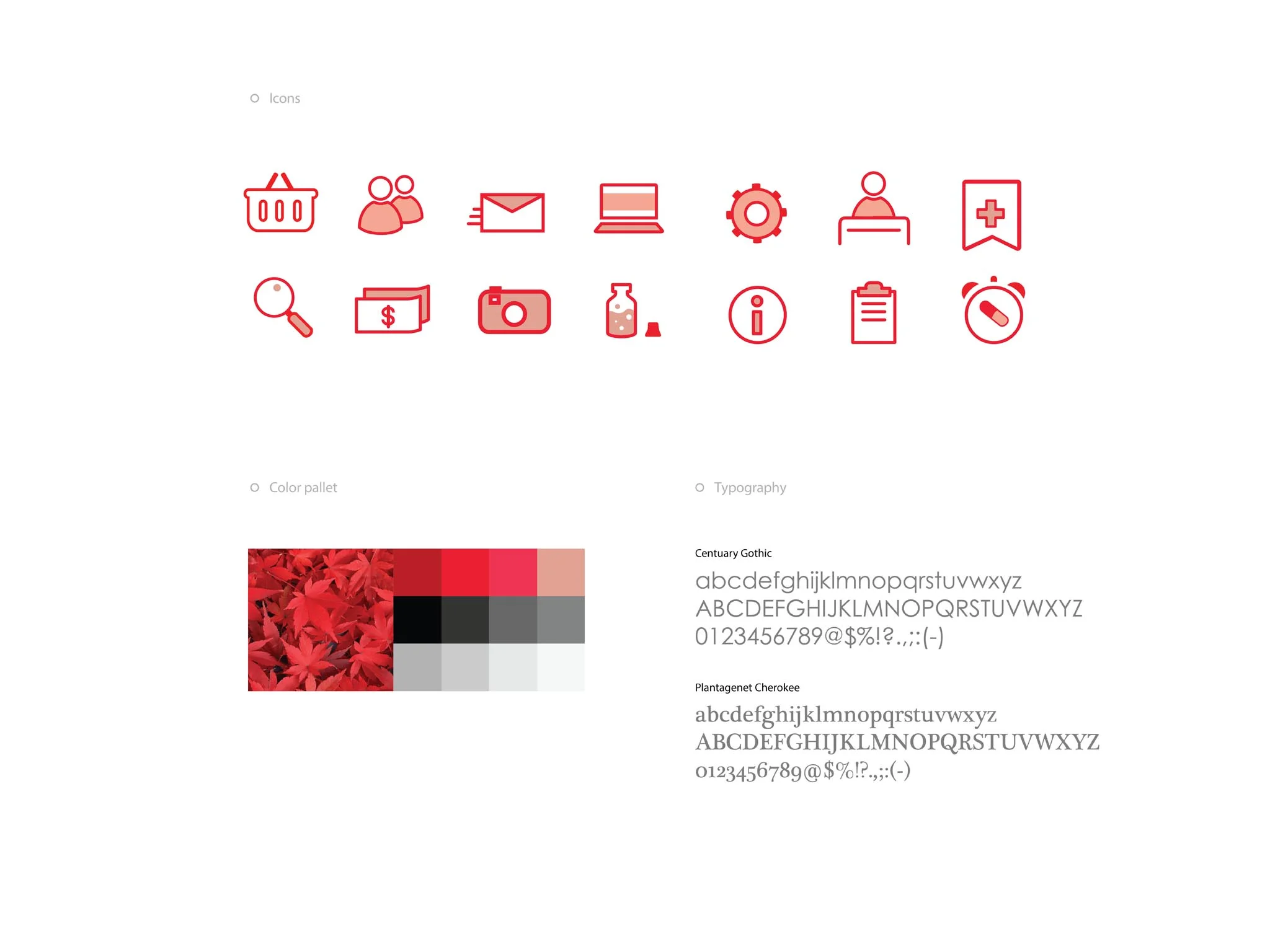 portfolio review test 19.jpg