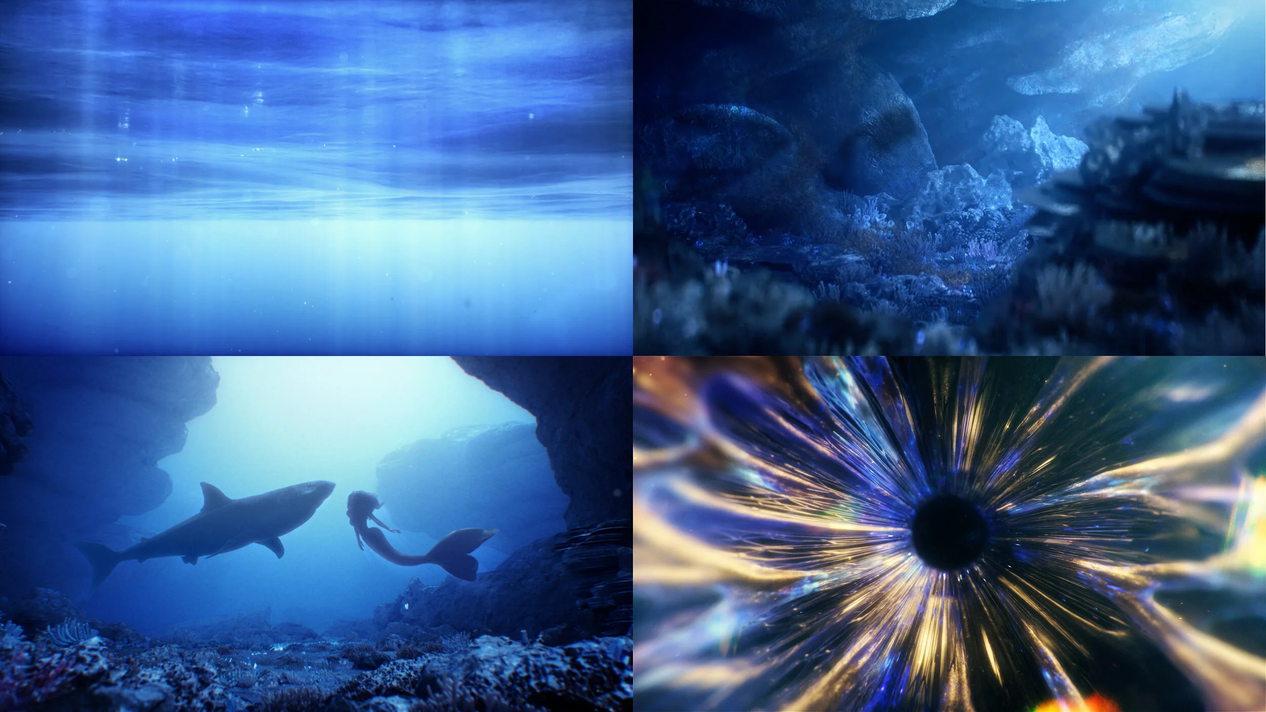 Frame 22.jpg