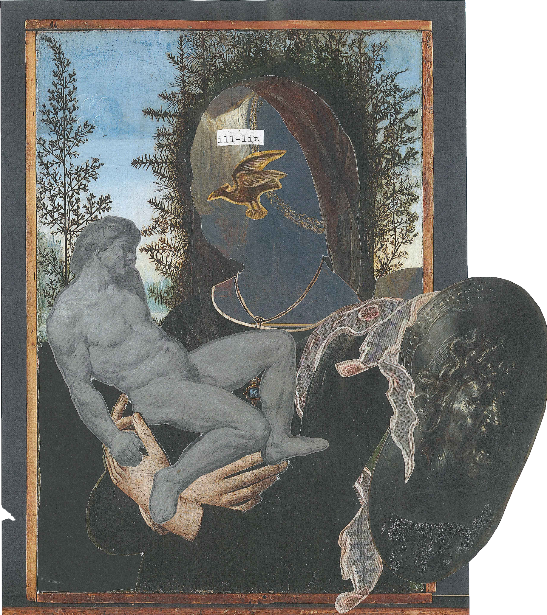 collage_ill_lit.png