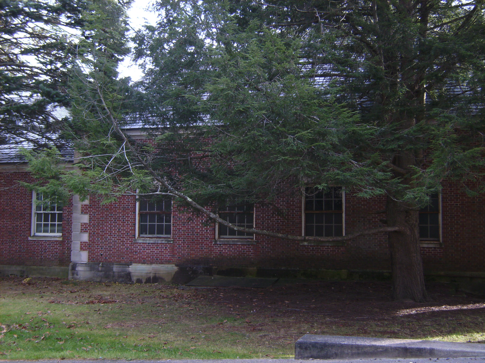 saratoga 040.jpg