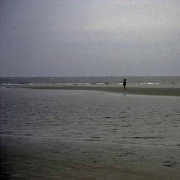 cdr_seqsolstice_Latbeach.jpg