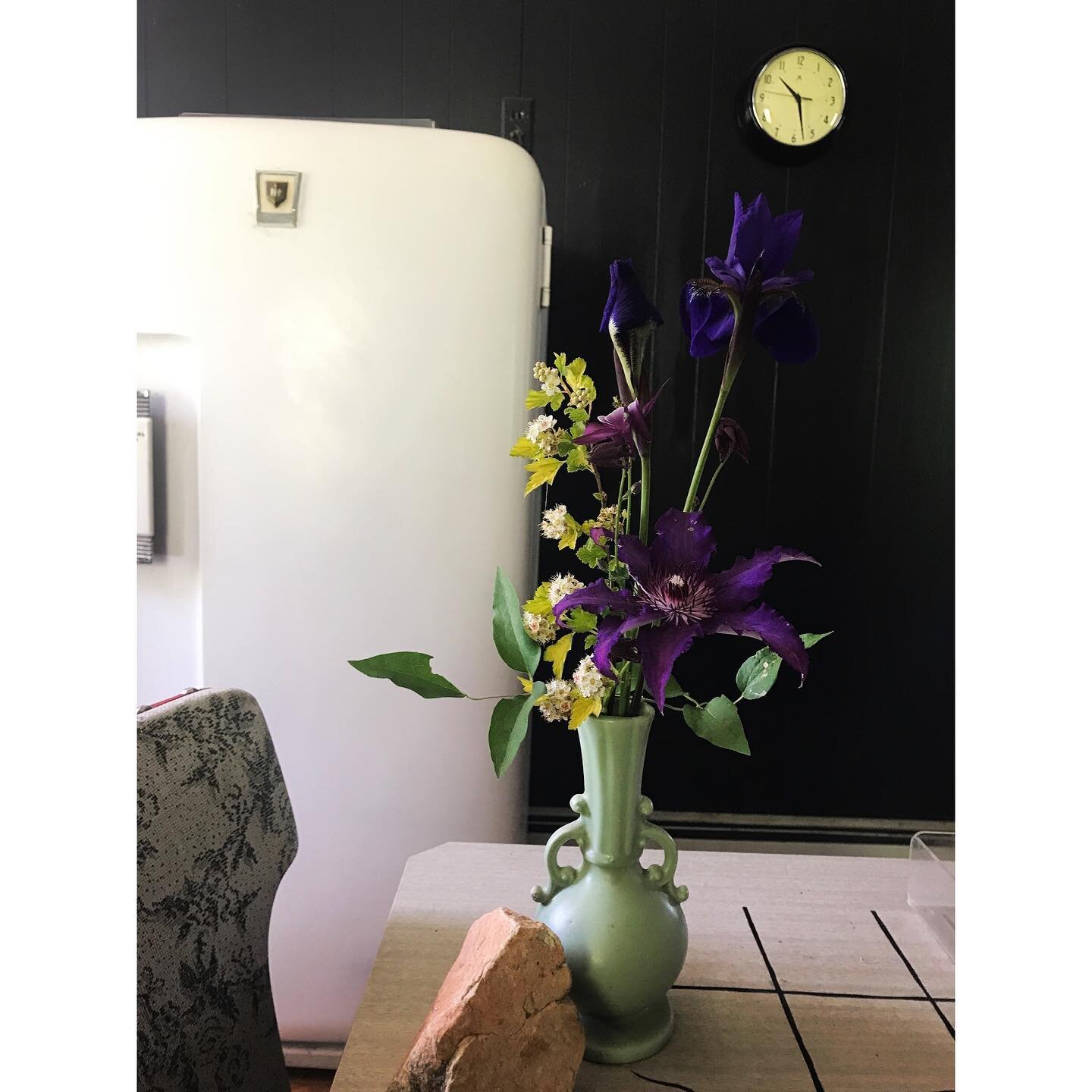 late May, enpurpled. 

(flowers for you, @joysanzone)

#vintagehaeger #vintagefridge #blackkitchen