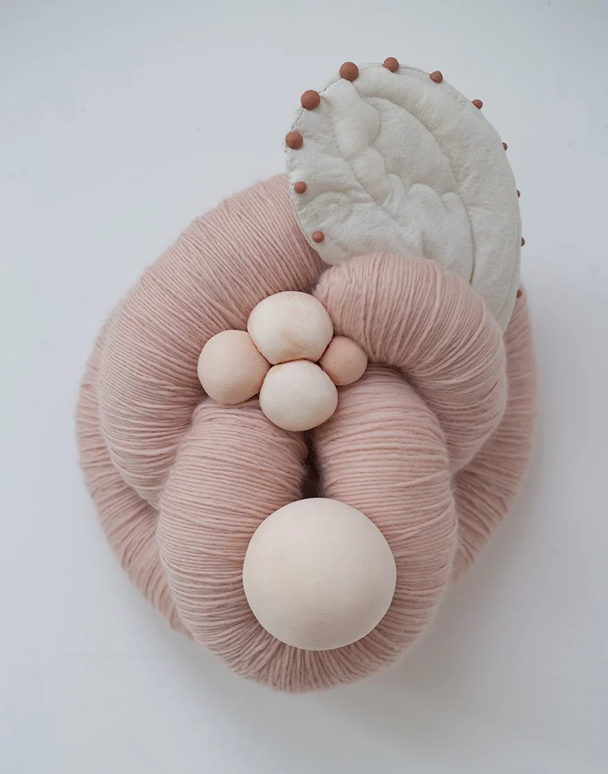 Amniotic_01_72.jpg