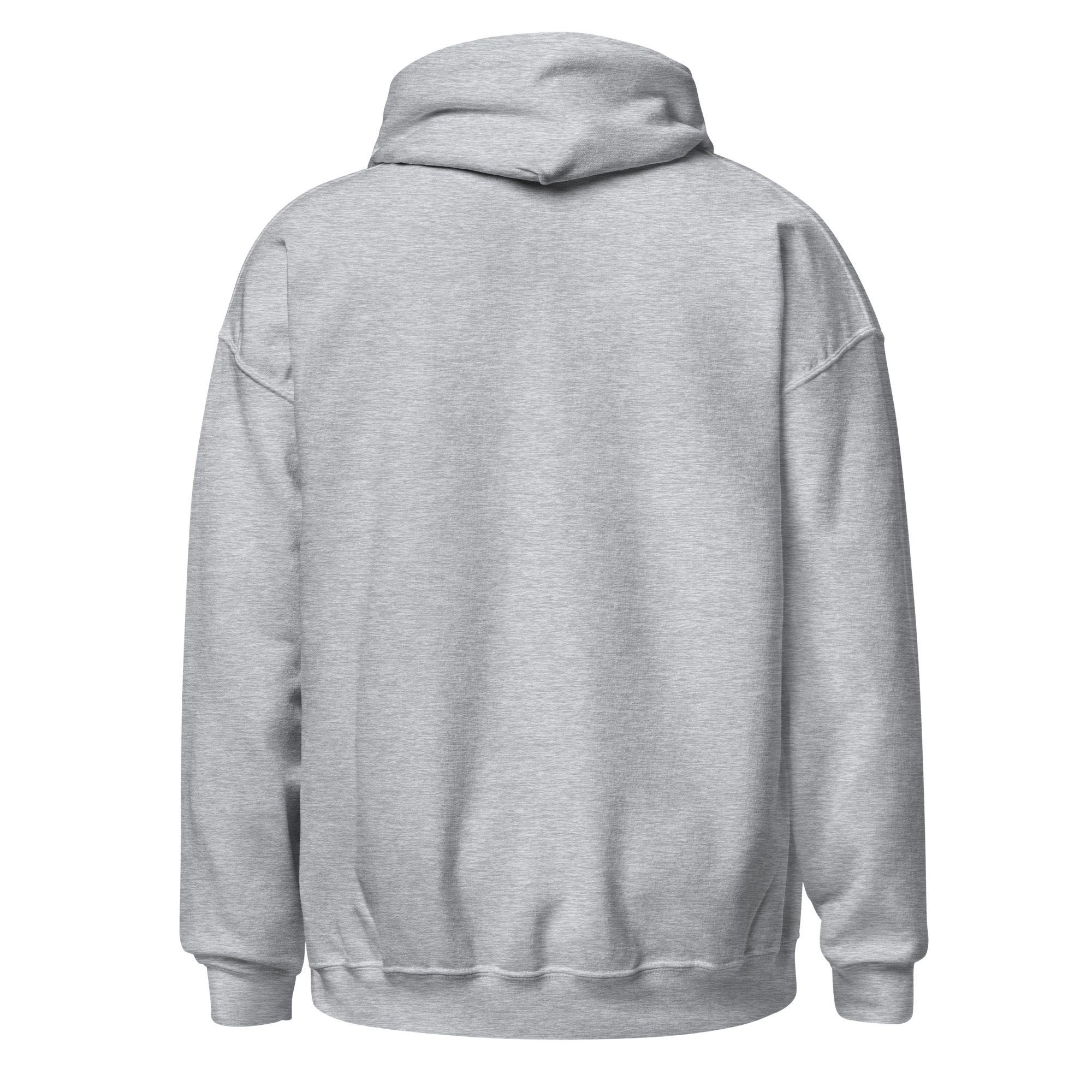 unisex-heavy-blend-hoodie-sport-grey-back-6abc85a025d74.png