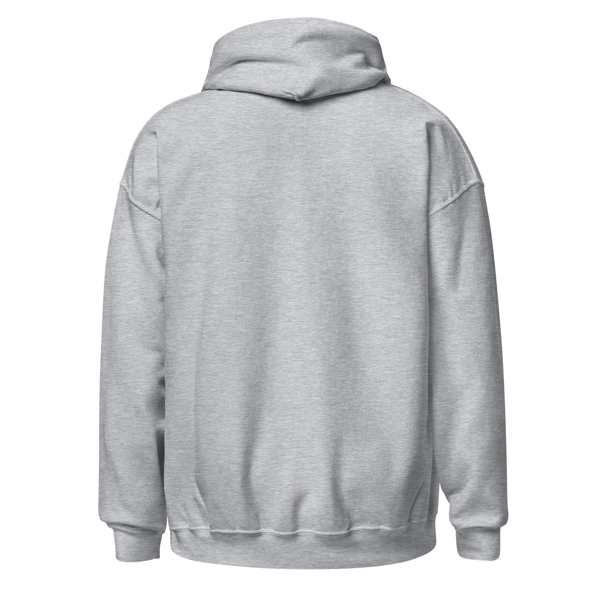 unisex-heavy-blend-hoodie-sport-grey-back-6abc85a025d74.png