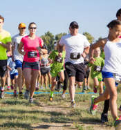 sb_turtletrot_100814.jpg