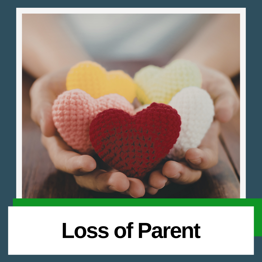 Loss of parent grief support group