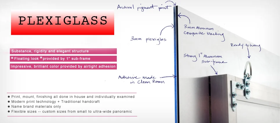 Plexi_Header.jpg