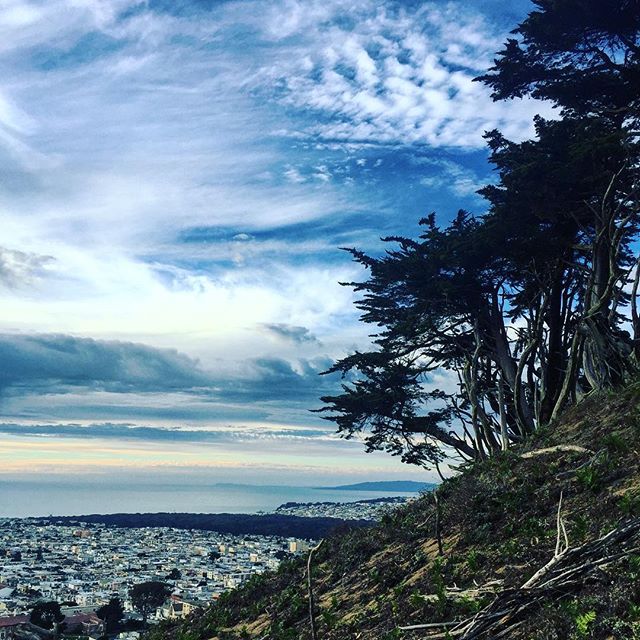 It really was #cool like dat in #sanfrancisco the other week #latergram #california #sky #dreams and #strangerthings in #thecity