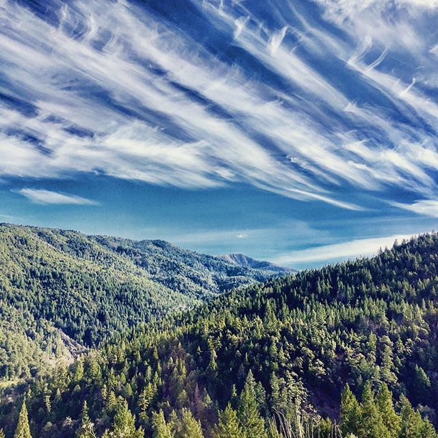 All over #humboldt county #northerncalifornia #california #redwoods #forest #coastrange #hwy101 #explorehumboldt #happynewyear everyone!