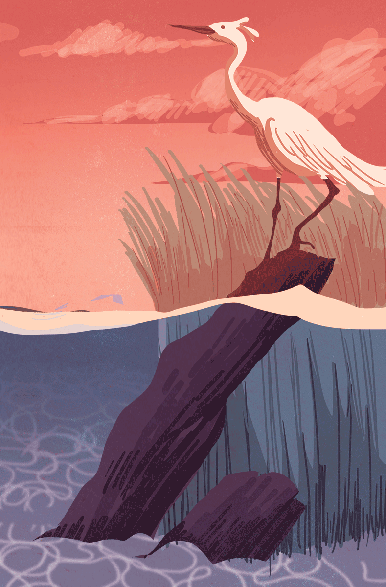 Grasslands (detail)