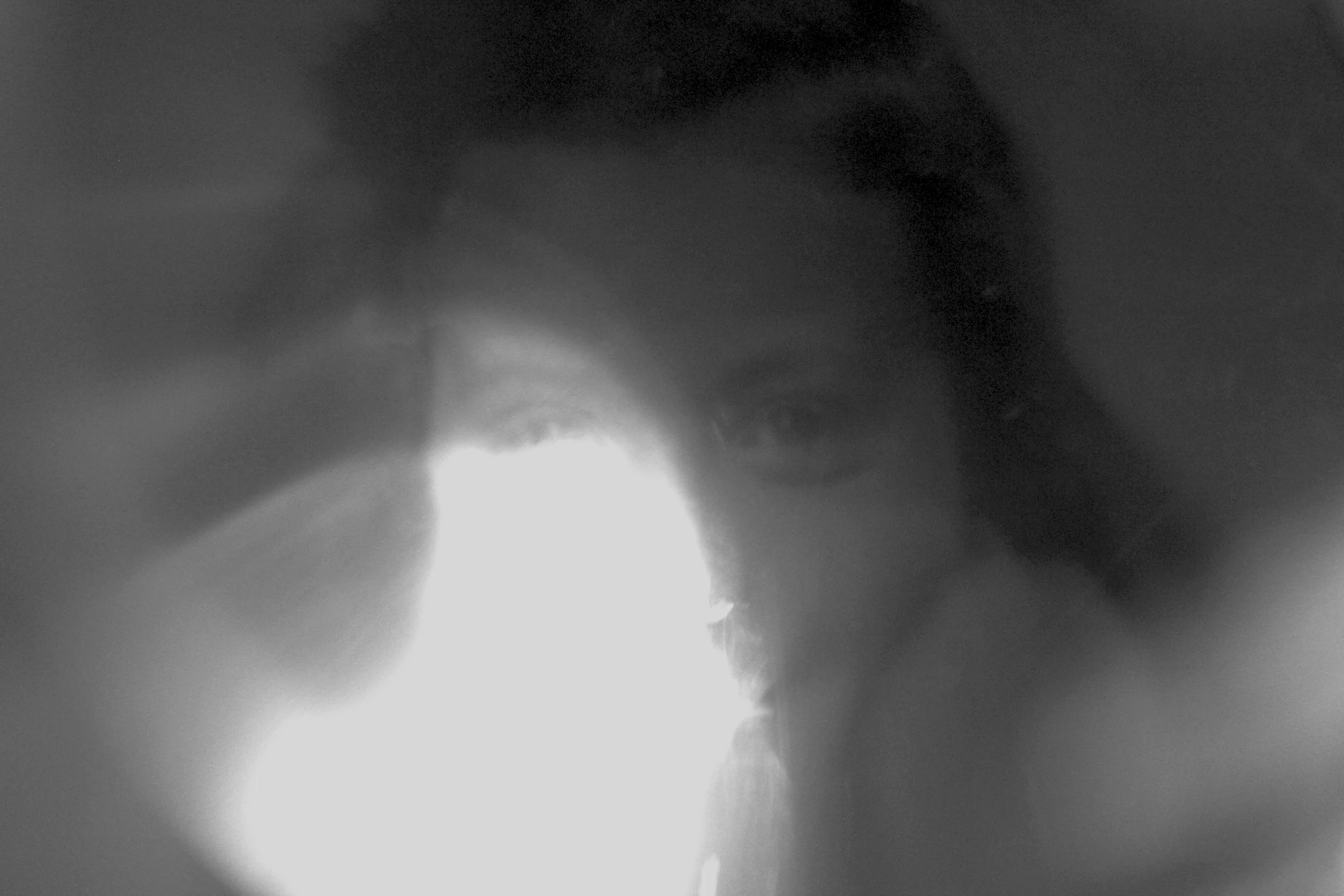 The Light
