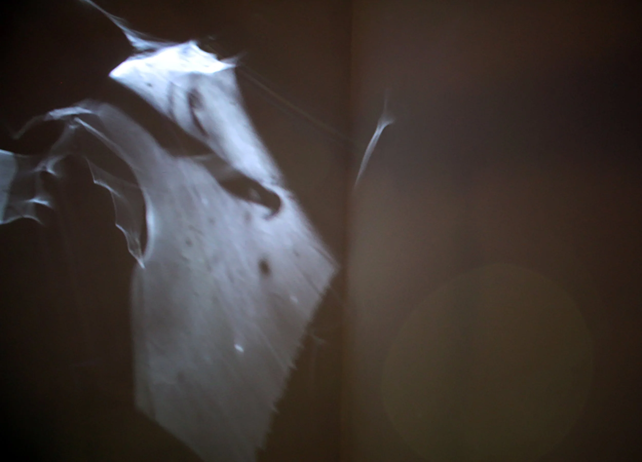 Liminal Threshold (installation still)