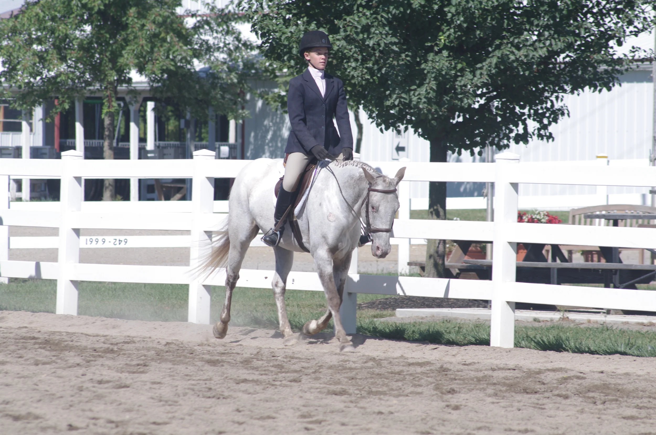 Gummy Bear showing summer 2013