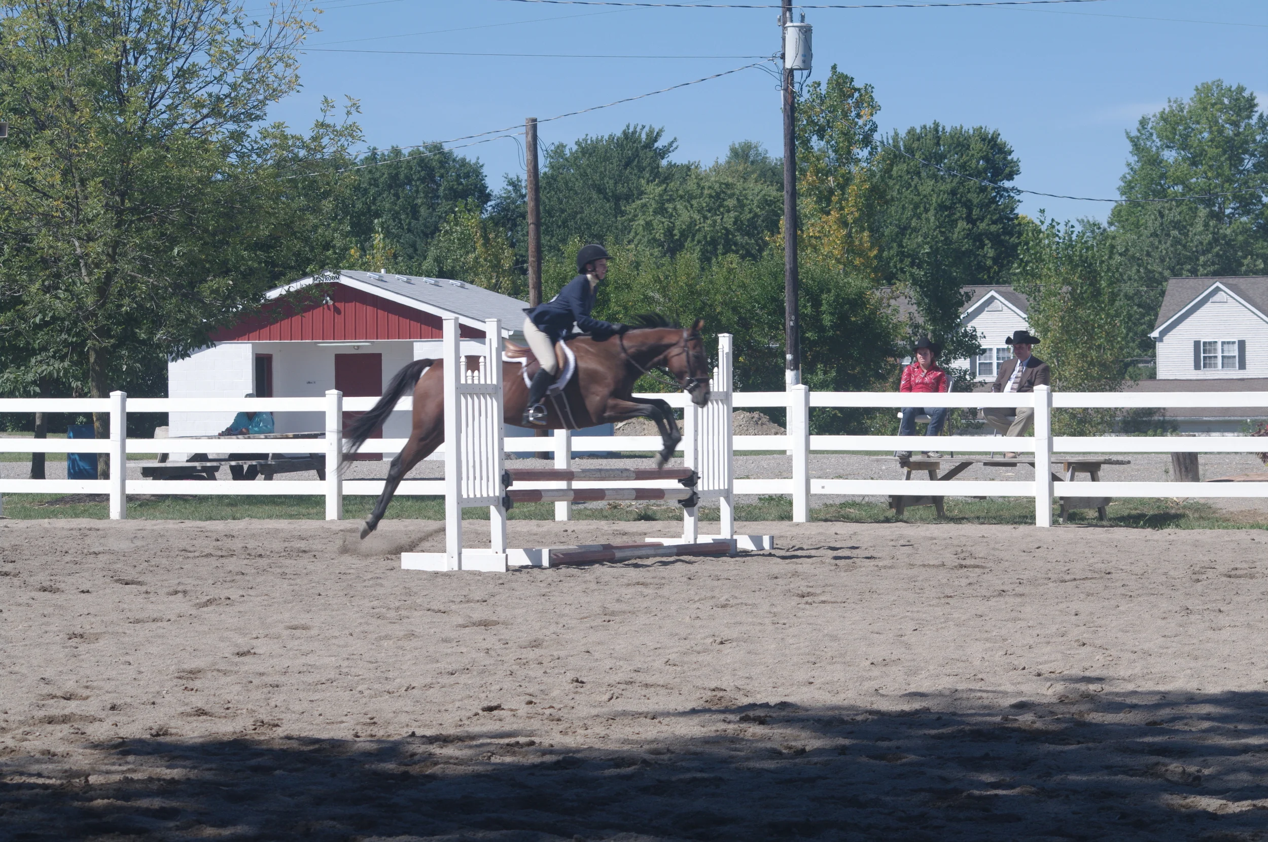 Smooch's first year showing 2013