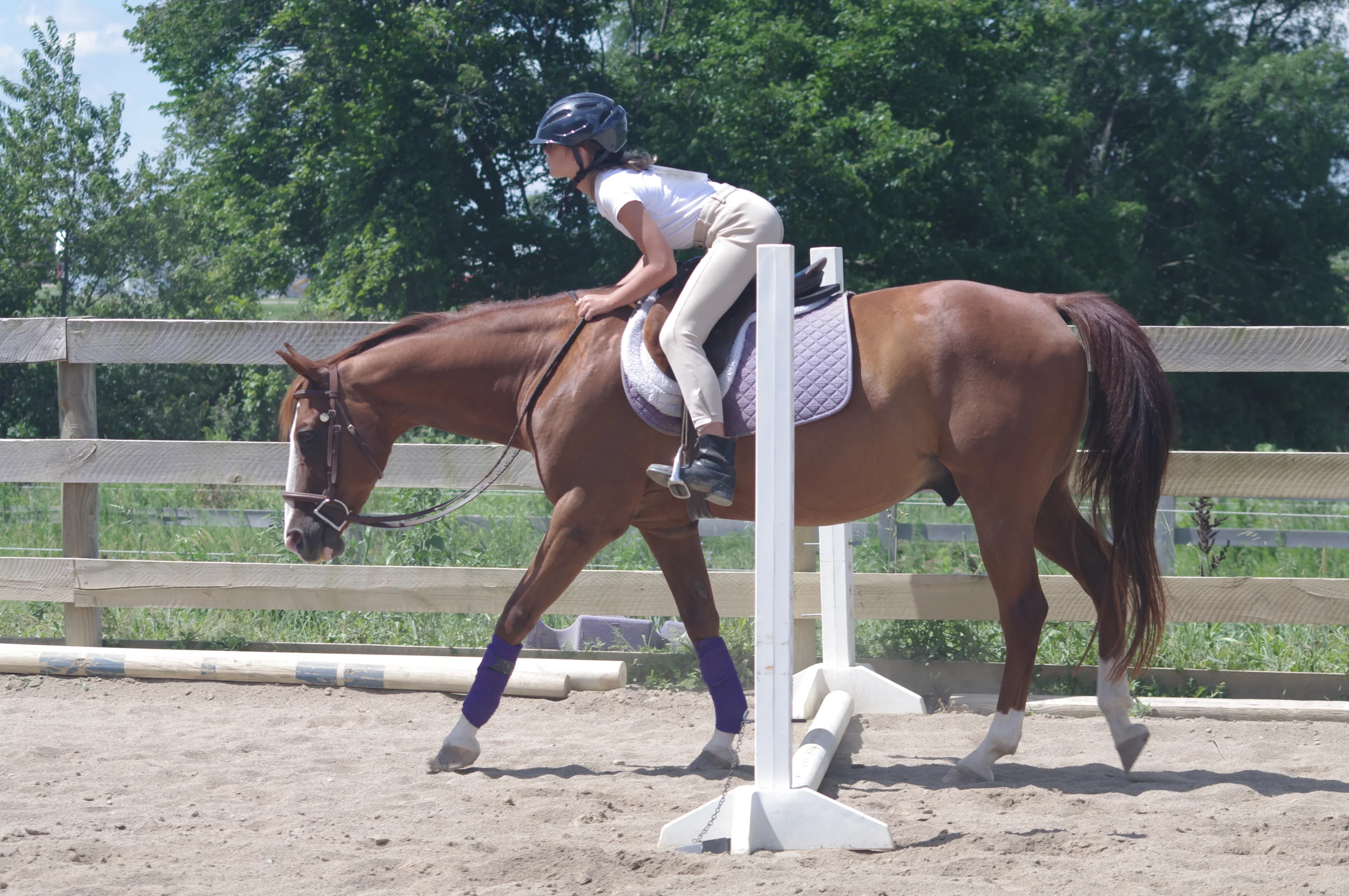 Issy at a home schooling show