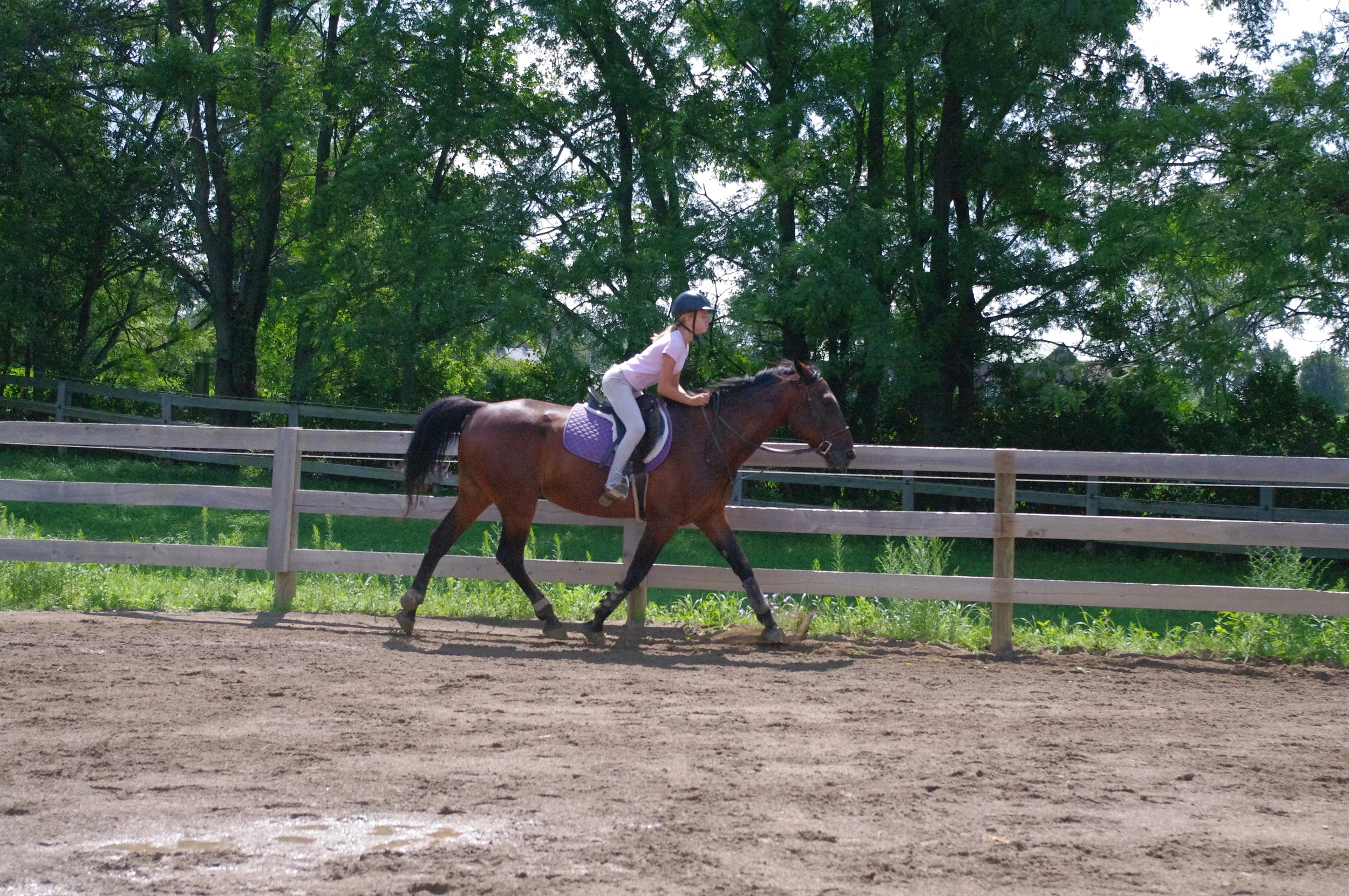 Jack helping his rider perfect her 2 point