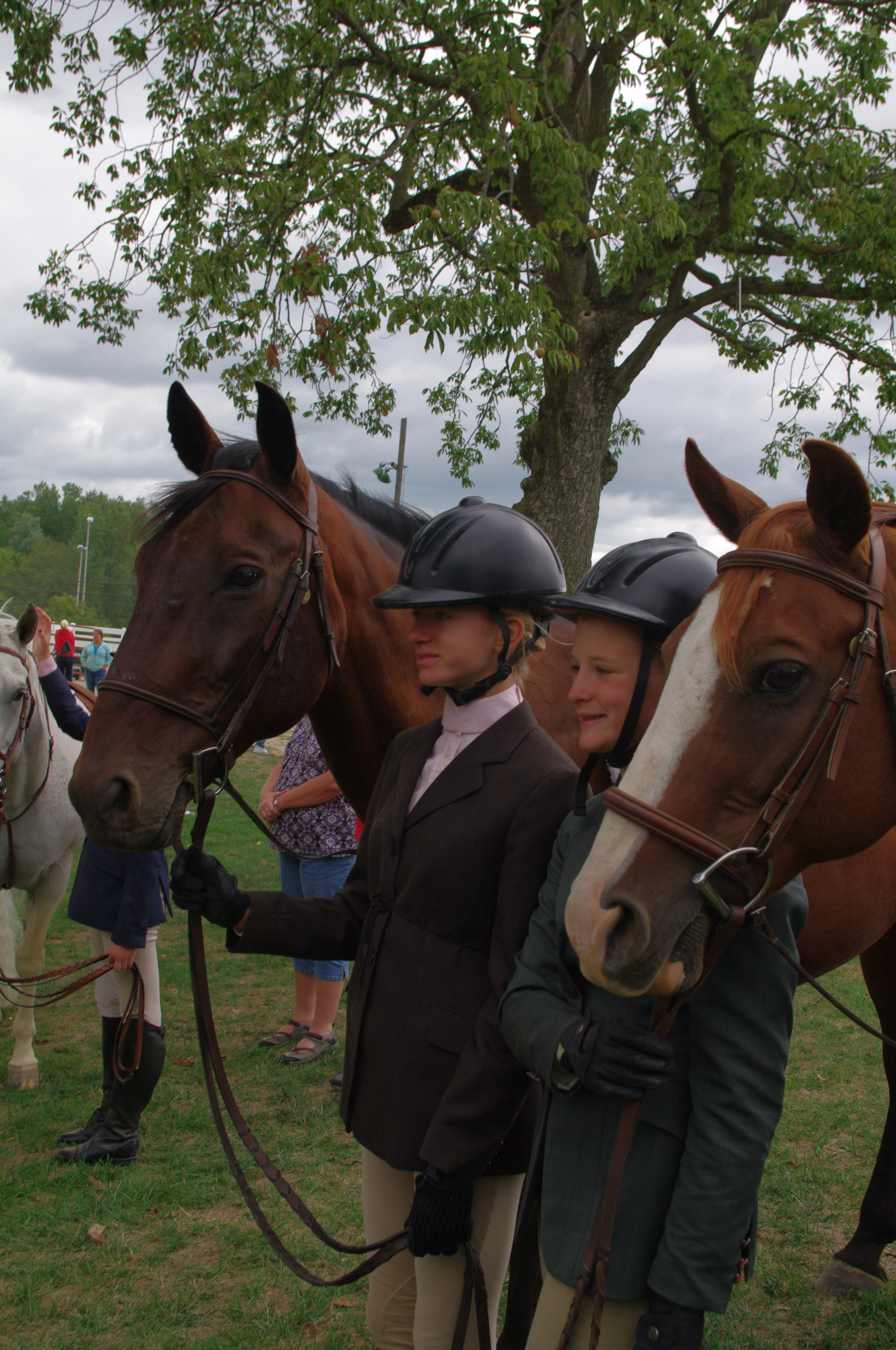 Getting ready to show!