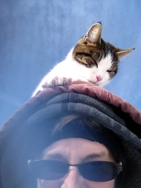 Mini Tums favorite hangout