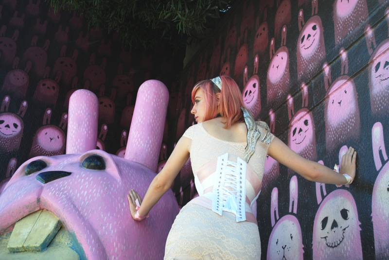 vixenbackphoto.jpg