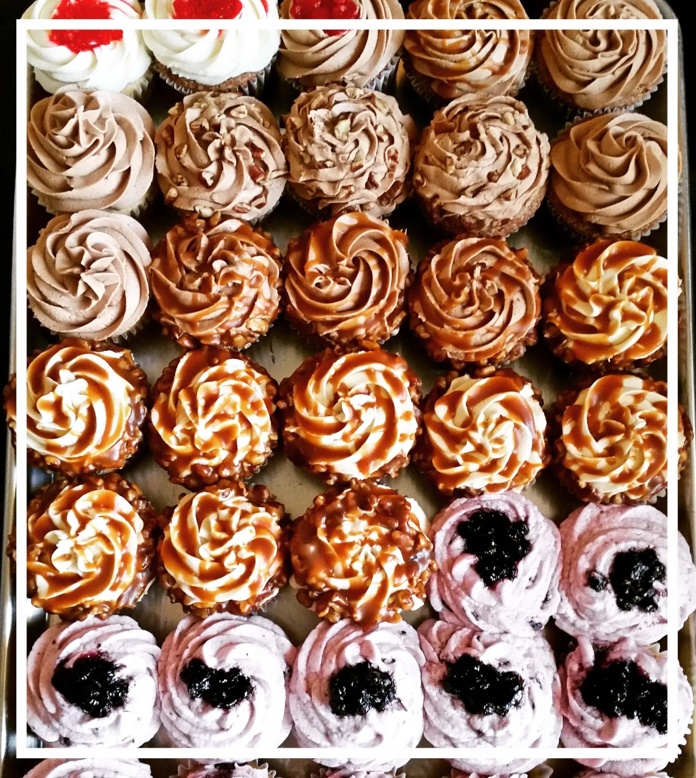 Vegan Cupcakes rows.jpg