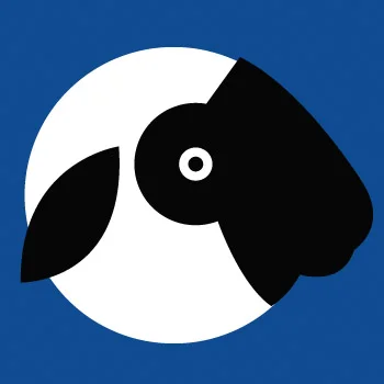 ColetteHNYfront2LaurenRolwingTHUMBNAIL.jpg