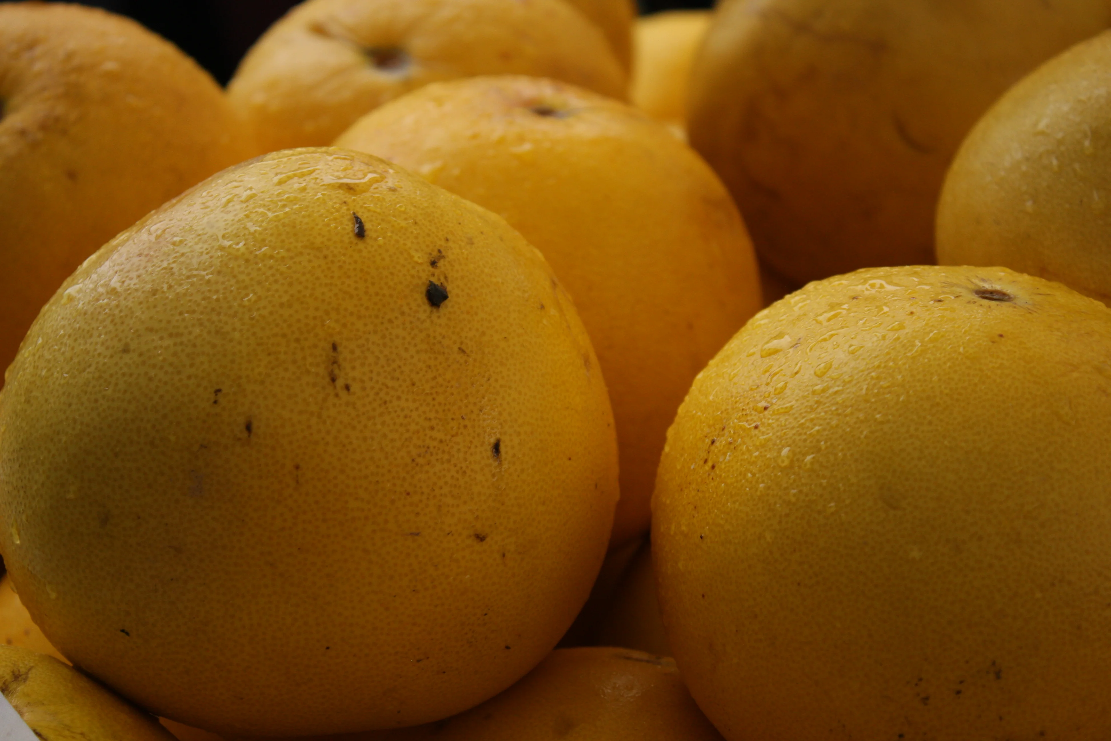 Food affects your health