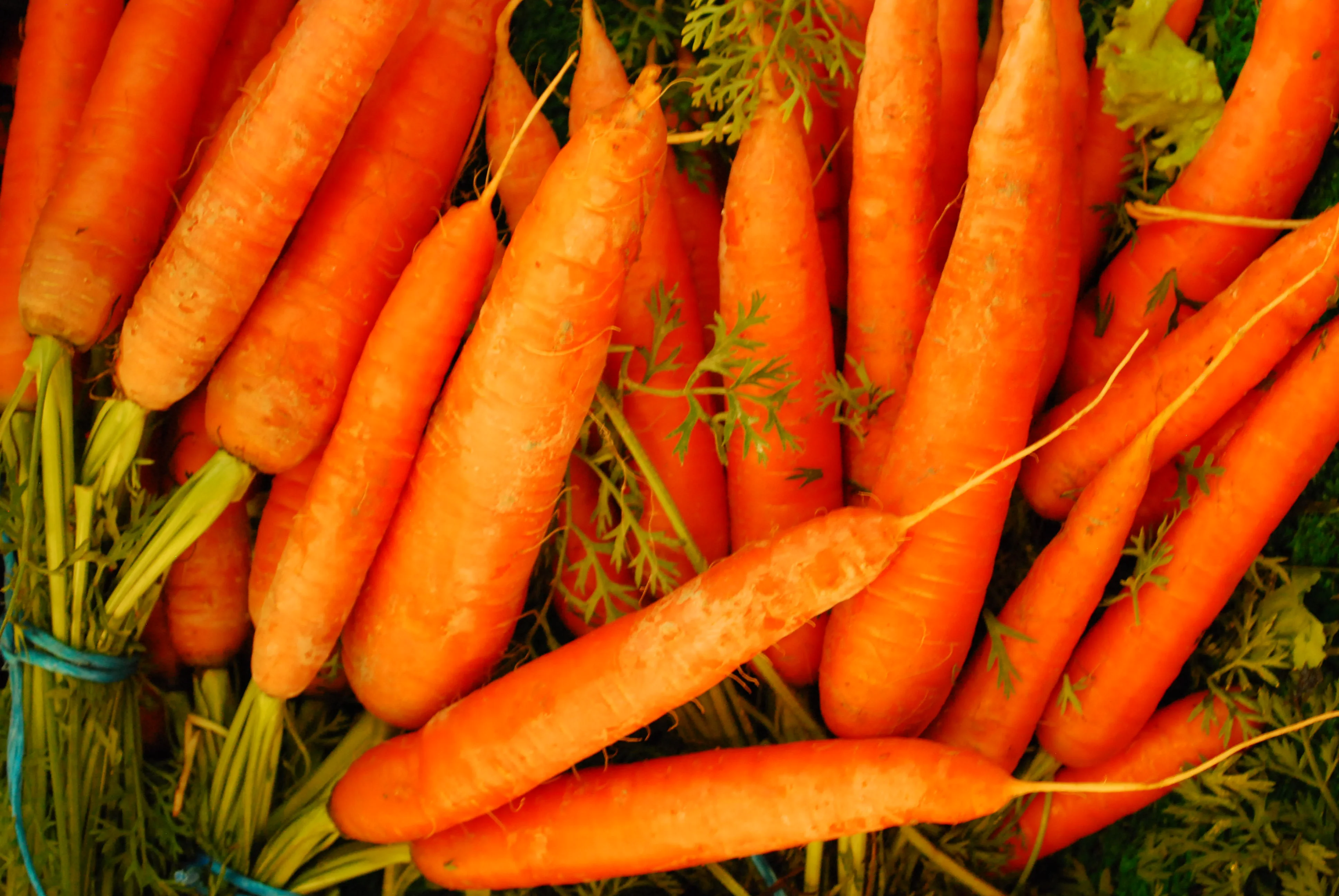 Re-Conceptualizing the Relationship Between Man and Nature