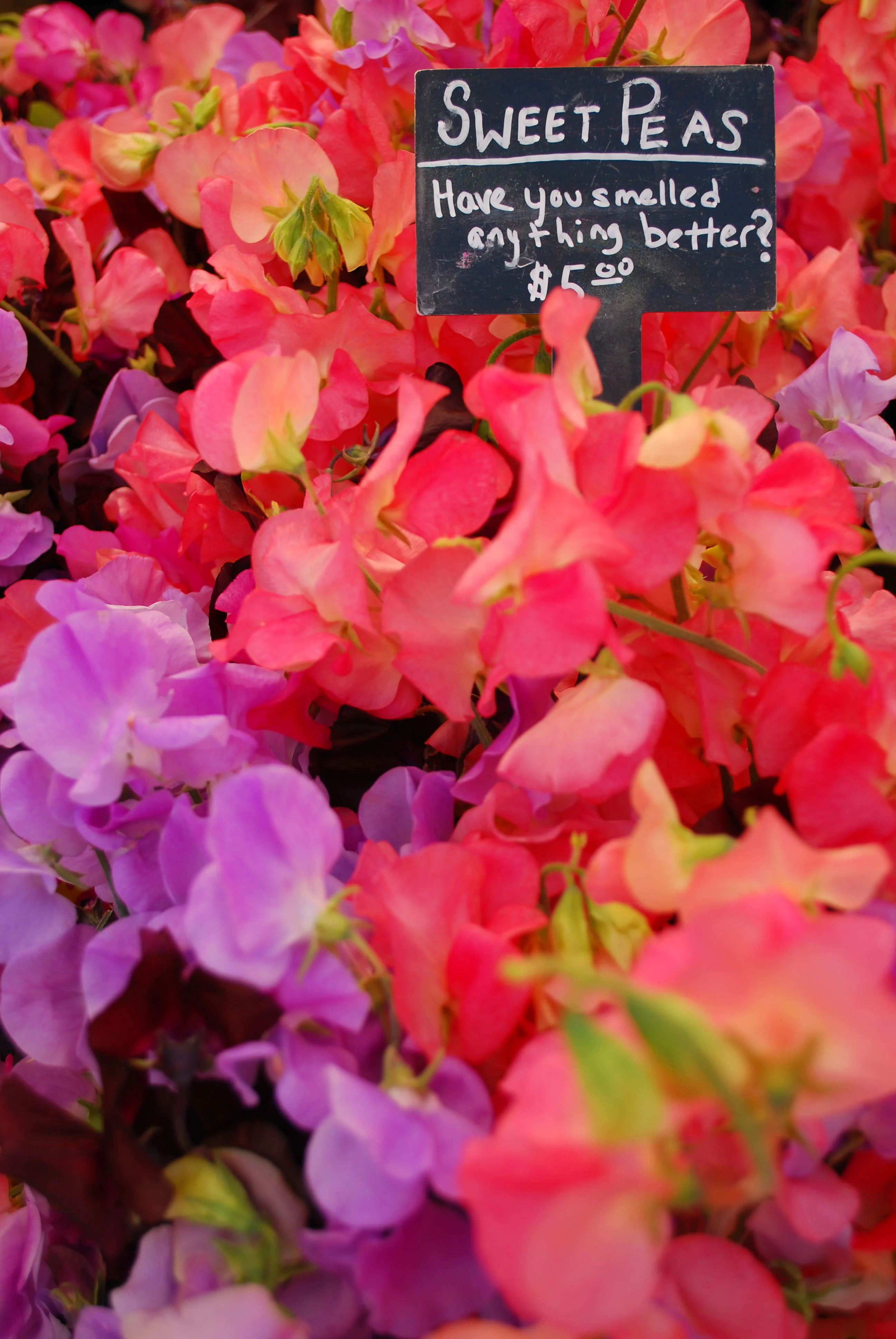 Forests, Biodiversity, and Food Security