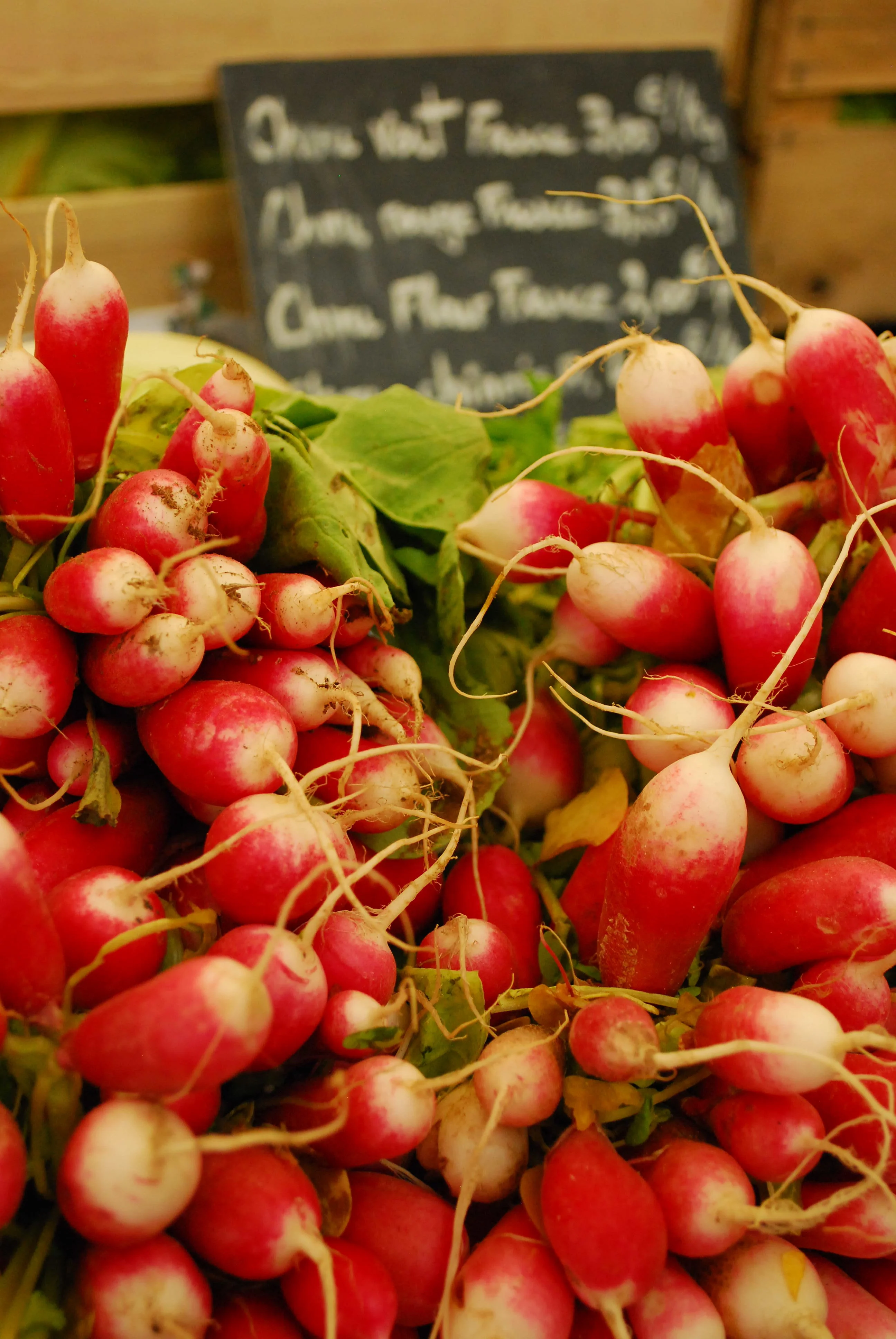 Empowering Marginalized Groups Through Democratic Institutions