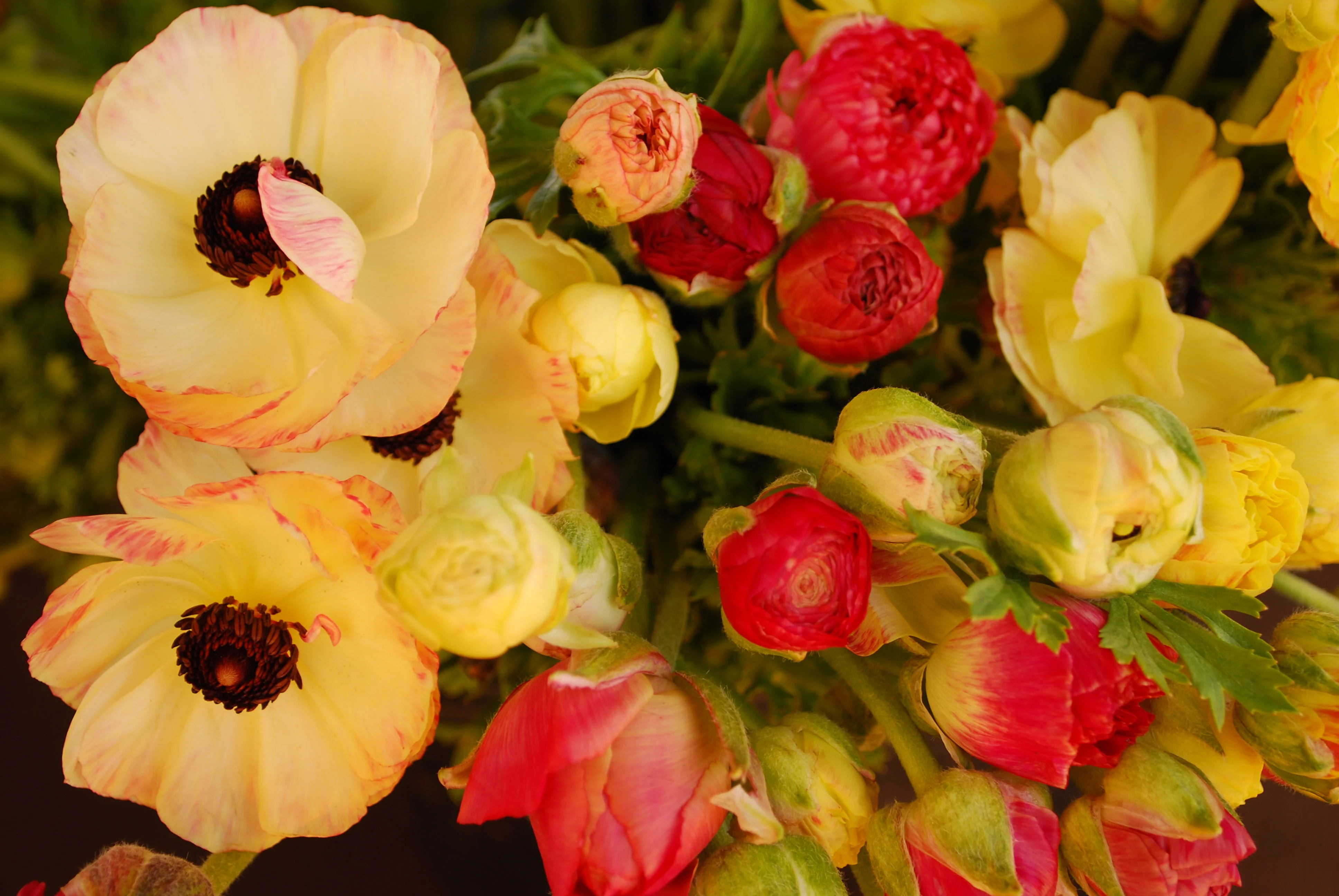 Paths of Least Resistance for Peasant Communities