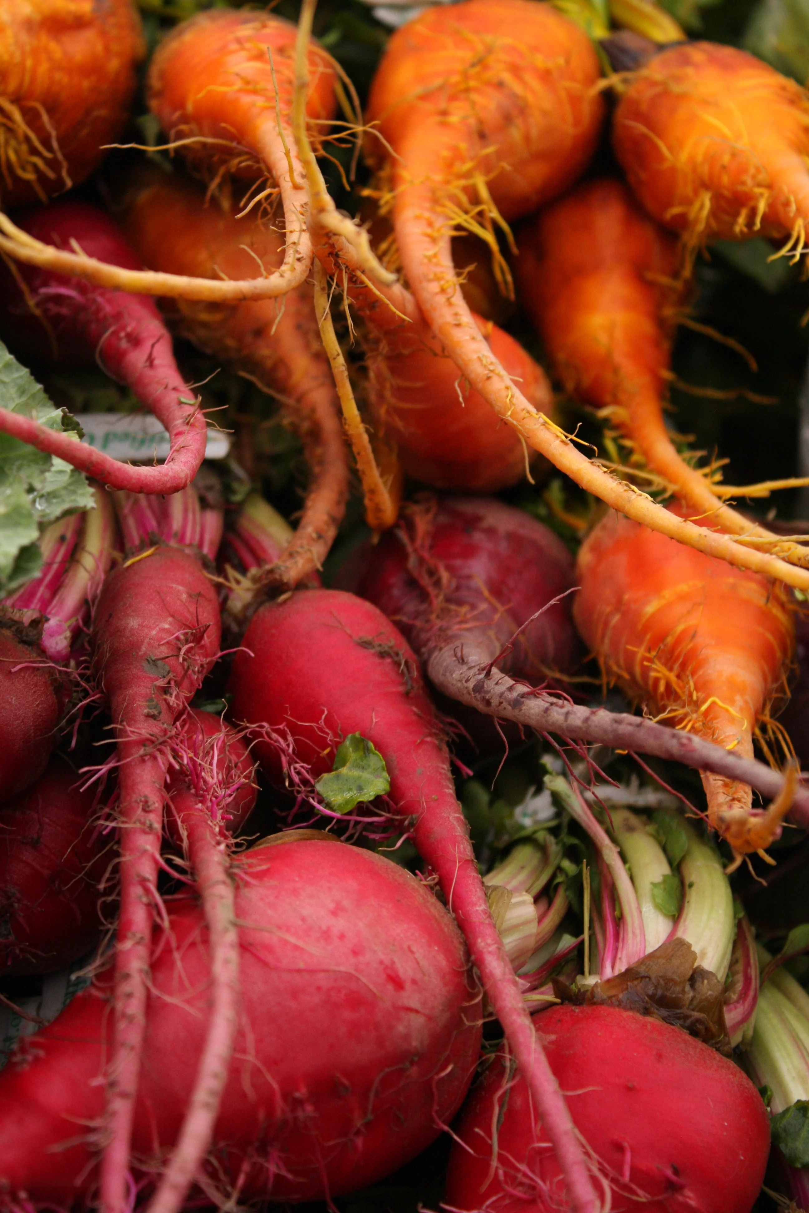 Balancing International Interests with Domestic Demands