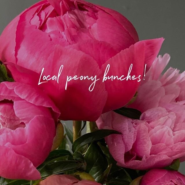 It&rsquo;s peony season! We&rsquo;re taking preorders for wrapped bunches of garden fresh local peonies. A half dozen stems for $27, a dozen for $50. No contract pick up at the shop, or local delivery. *colors will vary
If you&rsquo;re interested sen