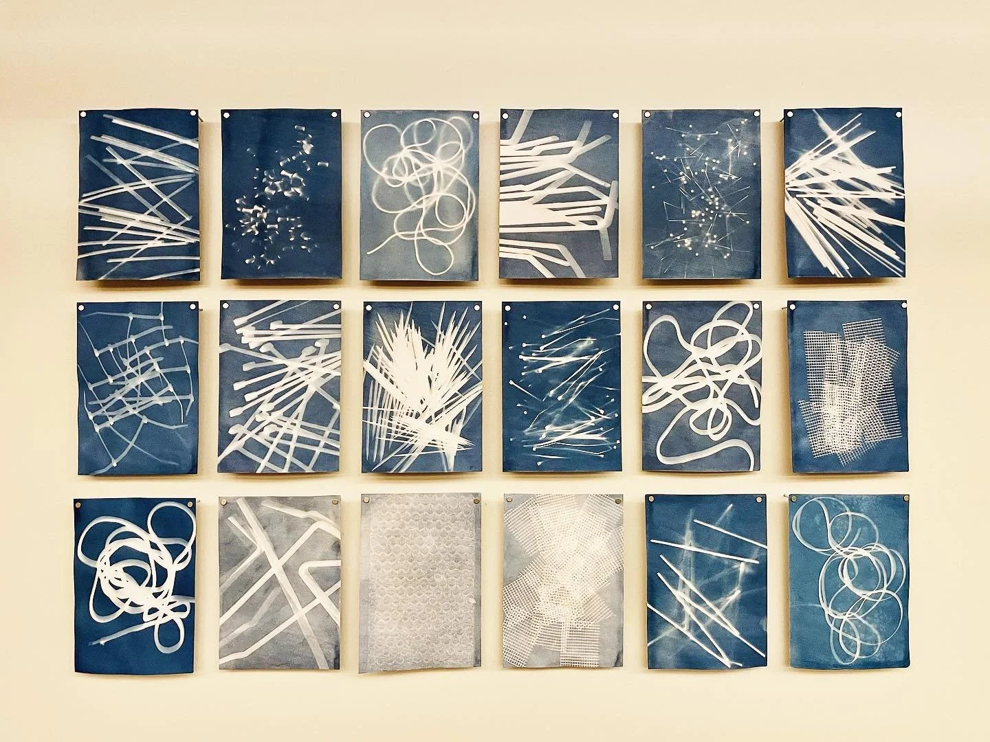  Field Studies  Cyanotype on paper  2025 