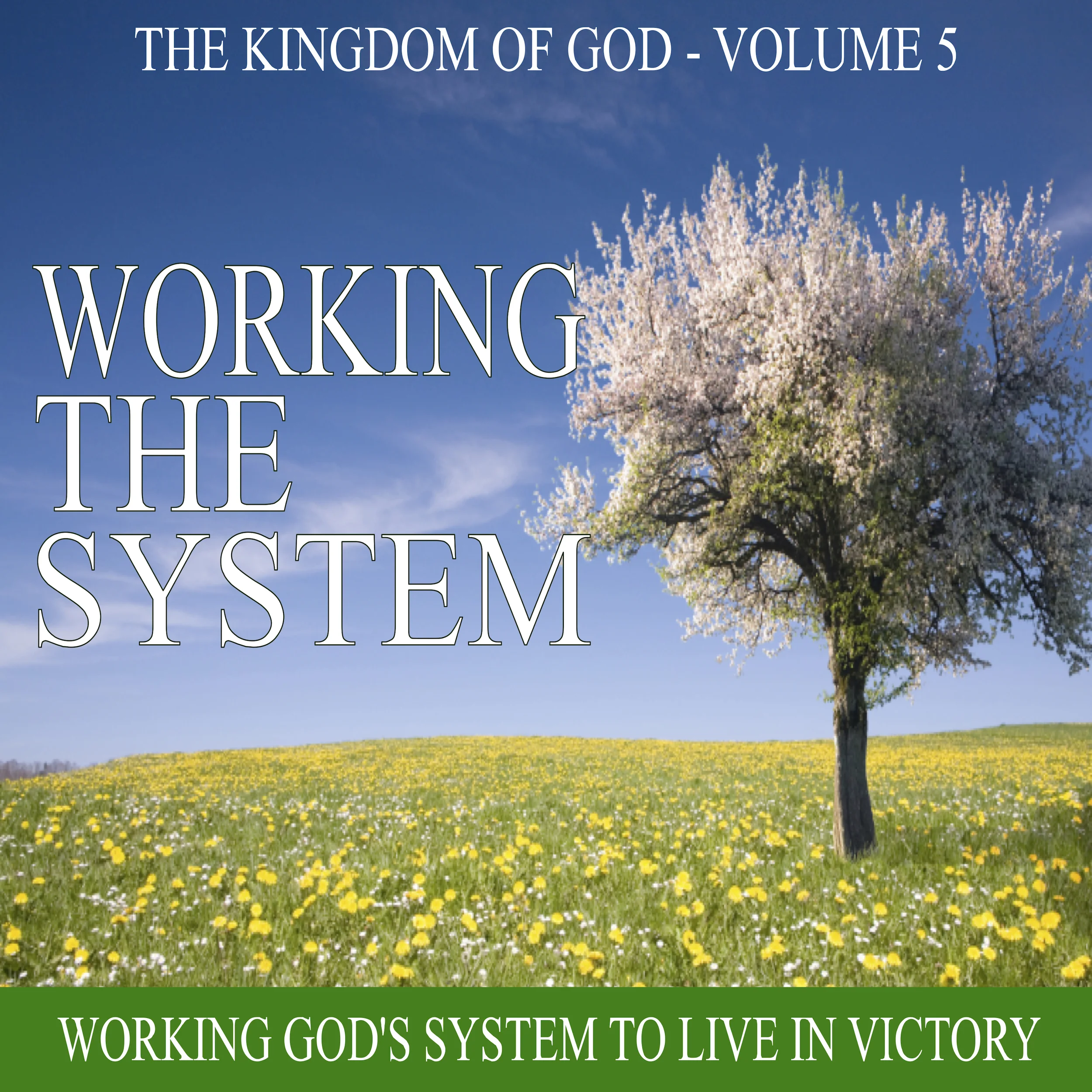 Working The System Cover Pic.jpg