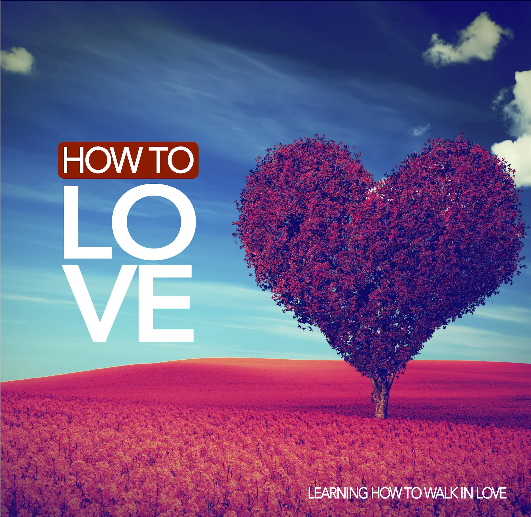 New How To Love.jpg